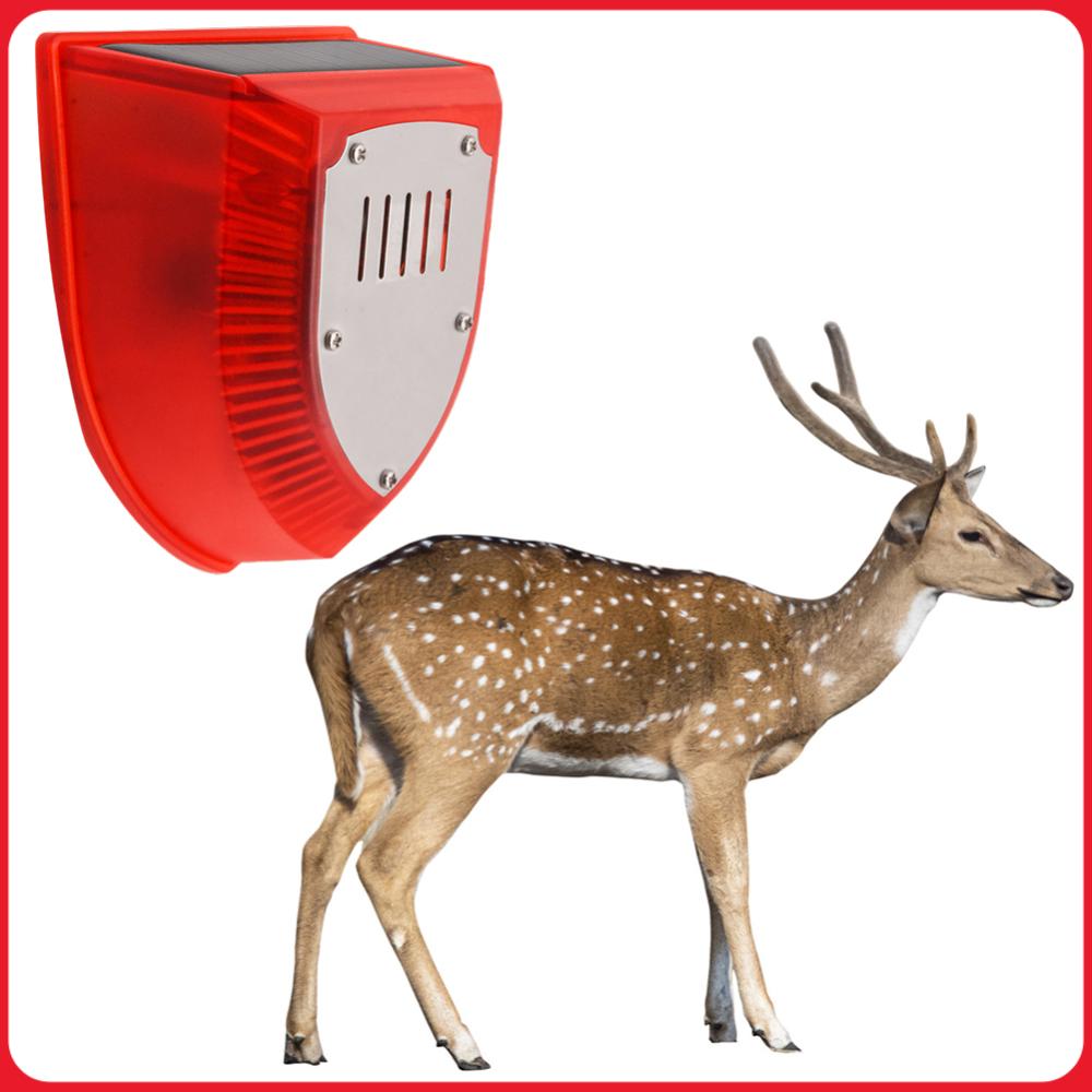 Outdoor Solar Alarm Waterproof - Barking Dog Alarm ulasan dan harga
